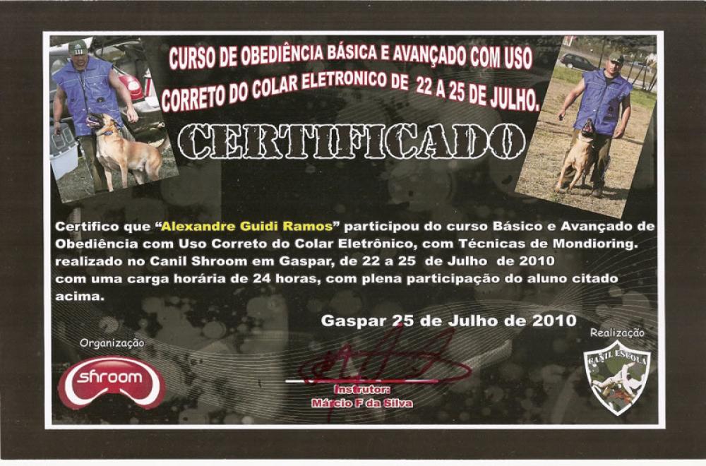 2010.Jul - Certificado Seminário Básico e Avançado de Obediência - Marcio F. da Silva