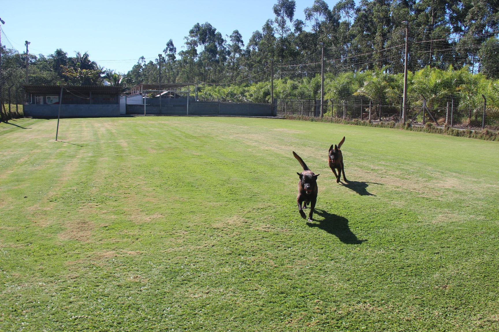 2018.Junho - Campo de futebol que virou área de treinamento, recreação e exercitação.