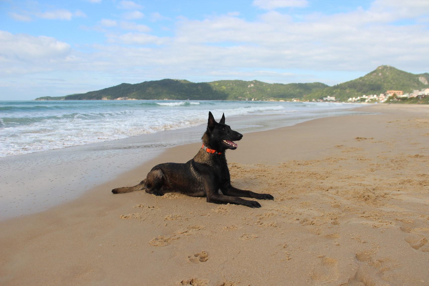 2026.Jun.14 - Praia de Mariscal - SC