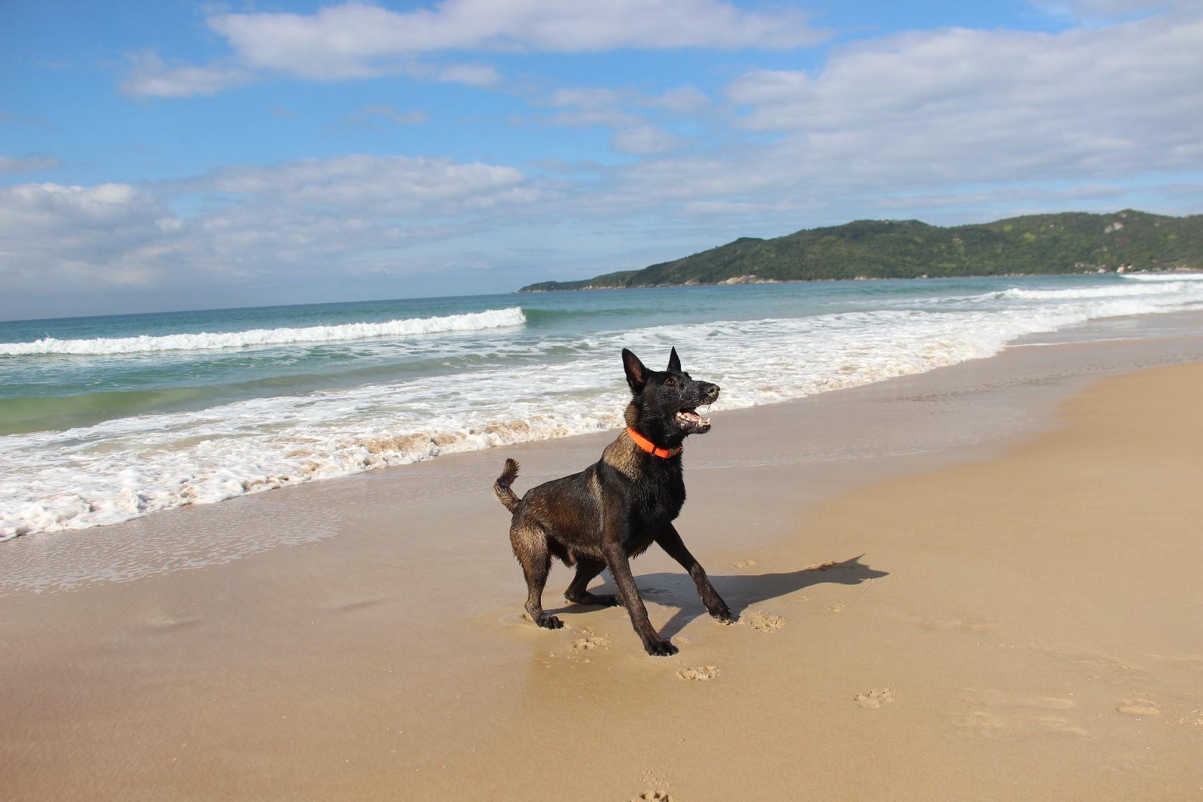 2026.Jun.14 - Praia de Mariscal - SC