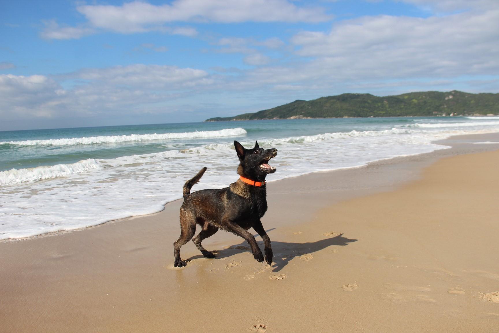 2026.Jun.14 - Praia de Mariscal - SC
