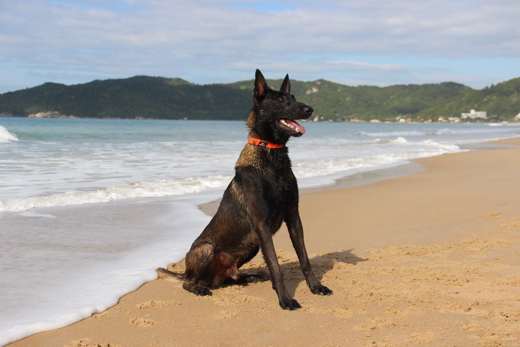 2026.Jun.14 - Praia de Mariscal - SC