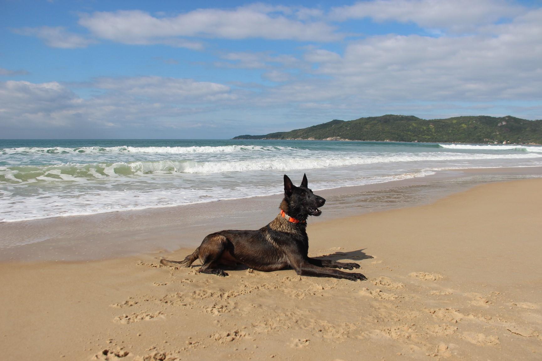 2026.Jun.14 - Praia de Mariscal - SC