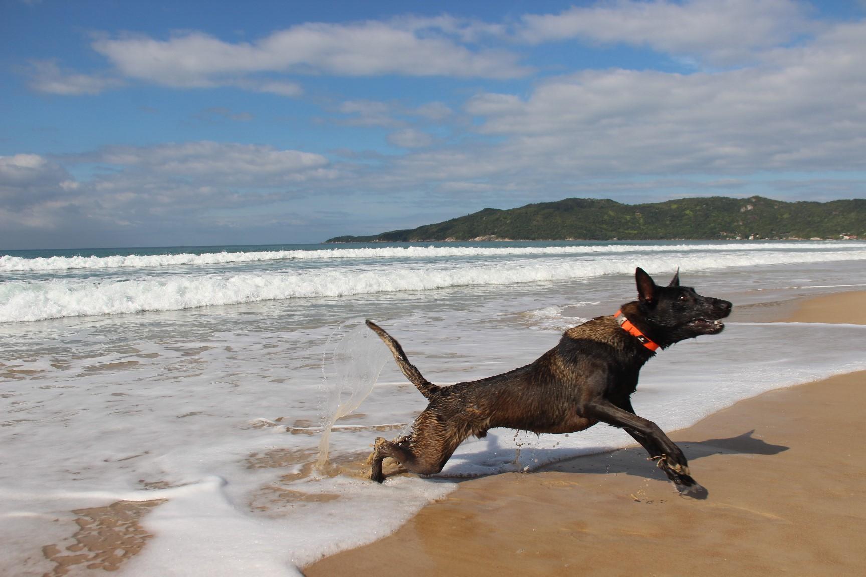 2026.Jun.14 - Praia de Mariscal - SC