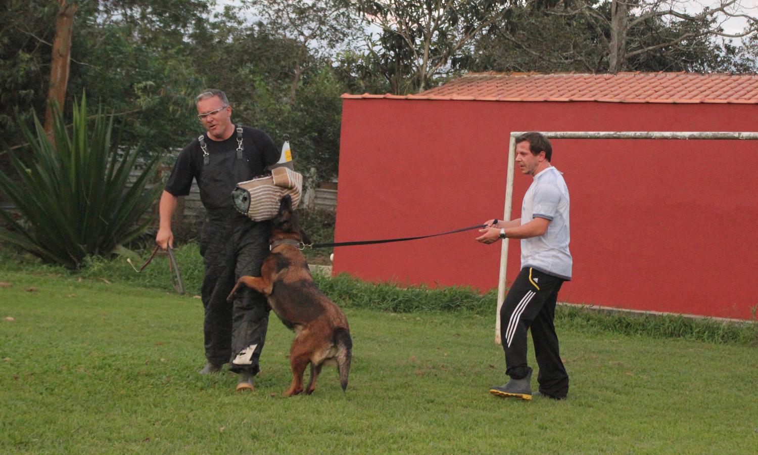 2013 - Makechas Dana em treino de proteção com o Figurante e Juiz Internacional, Marcio Cerqueira.
